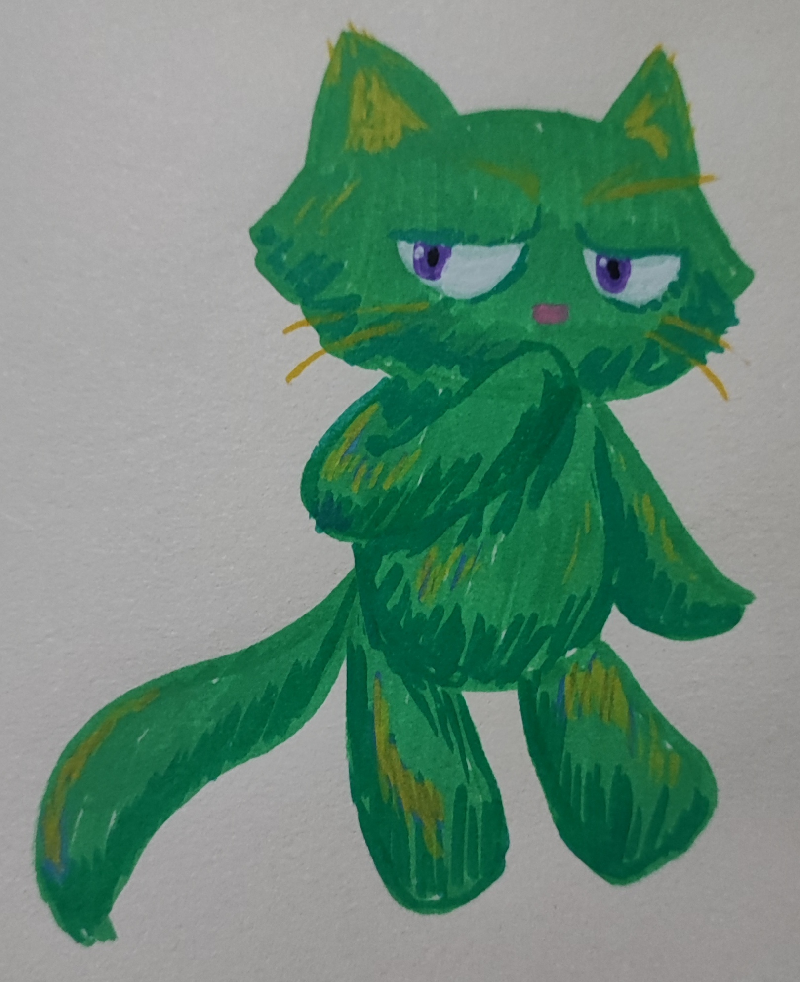 Drawing of a green cartoon cat using acrylic markers