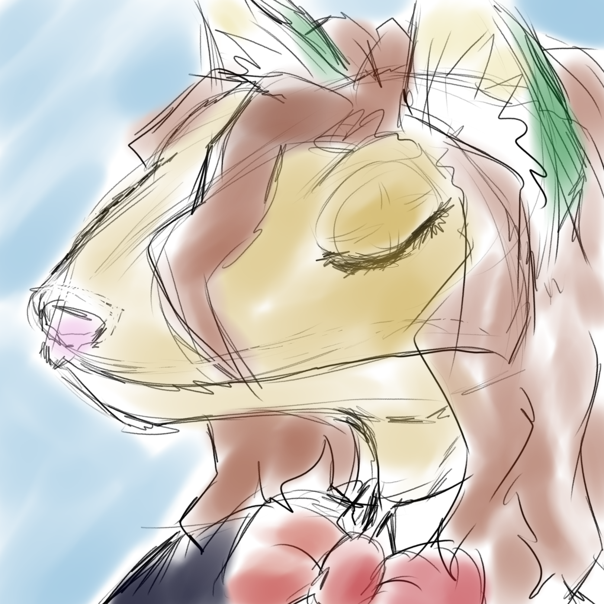 a somewhat painted like doodle of my avatar